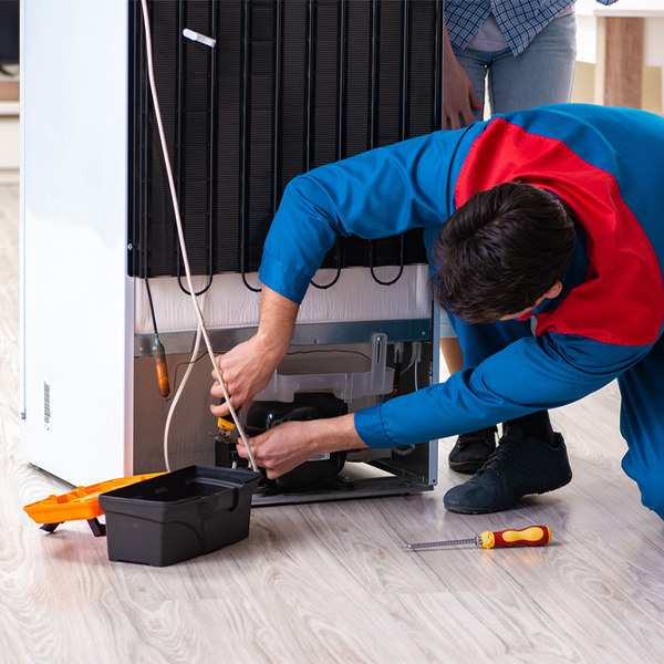 what are the common refrigerator repair services in Kingston